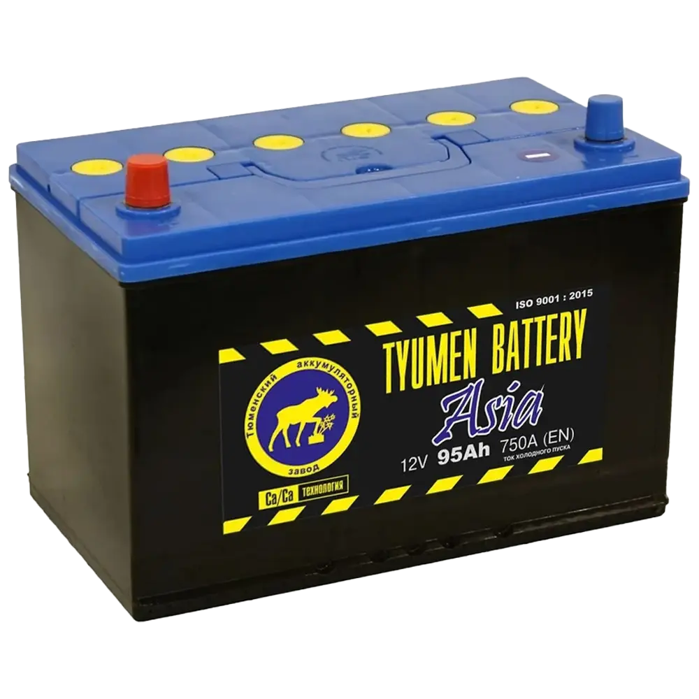 Тюмень 95 А/ч п.п. 750А 12V  Asia