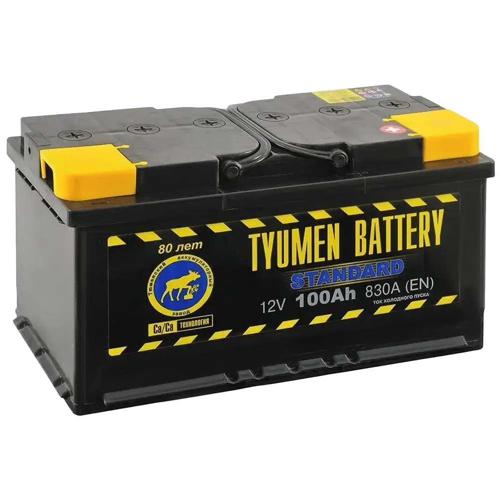 Тюмень 100 А/ч п.п. 830А 12V Standard