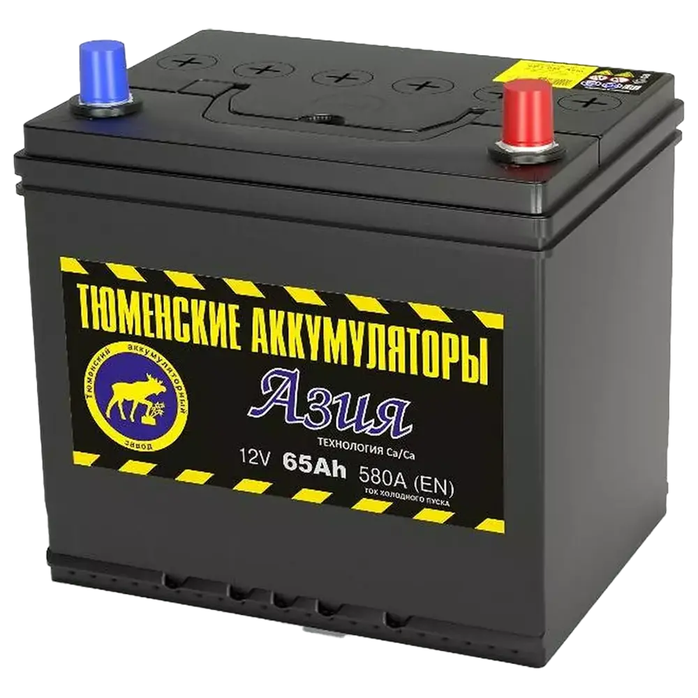 Тюмень 65 А/ч о.п. 580А 12V  Asia