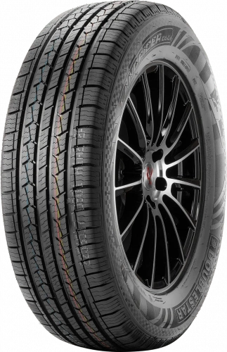 Double Star 215/55 R18 95H DS01
