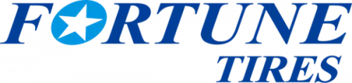 Fortune 245/45 R20 Y 