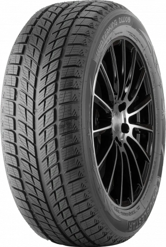 Double Star 235/50 R19 99H DW09