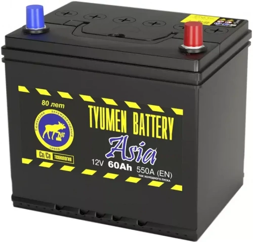 Тюмень 60 А/ч о.п. 550А 12V  Asia